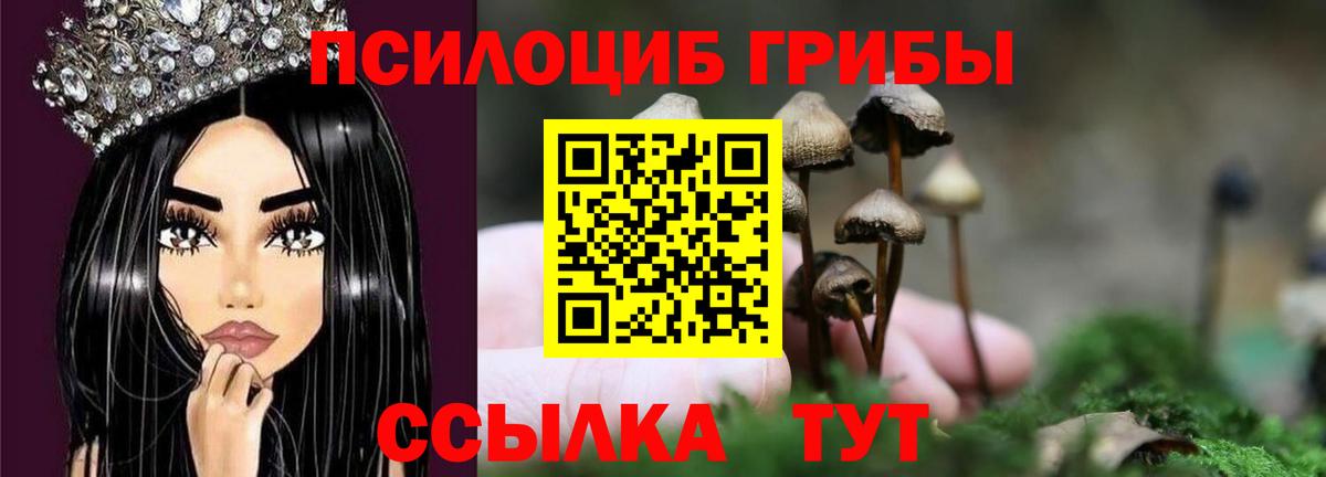 Псилоцибиновые грибы мухоморы  закладки  Карасук  Галлюциногенные грибы мухоморы  Вход с VPN 